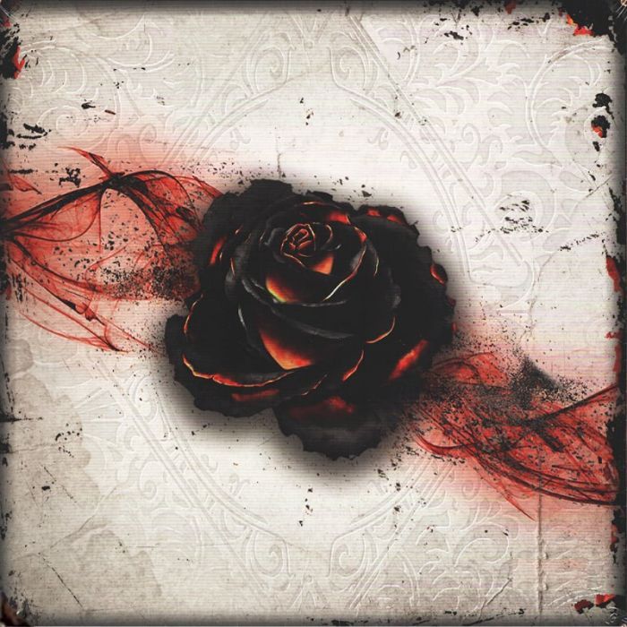 Jaquette de Black Rose Wars