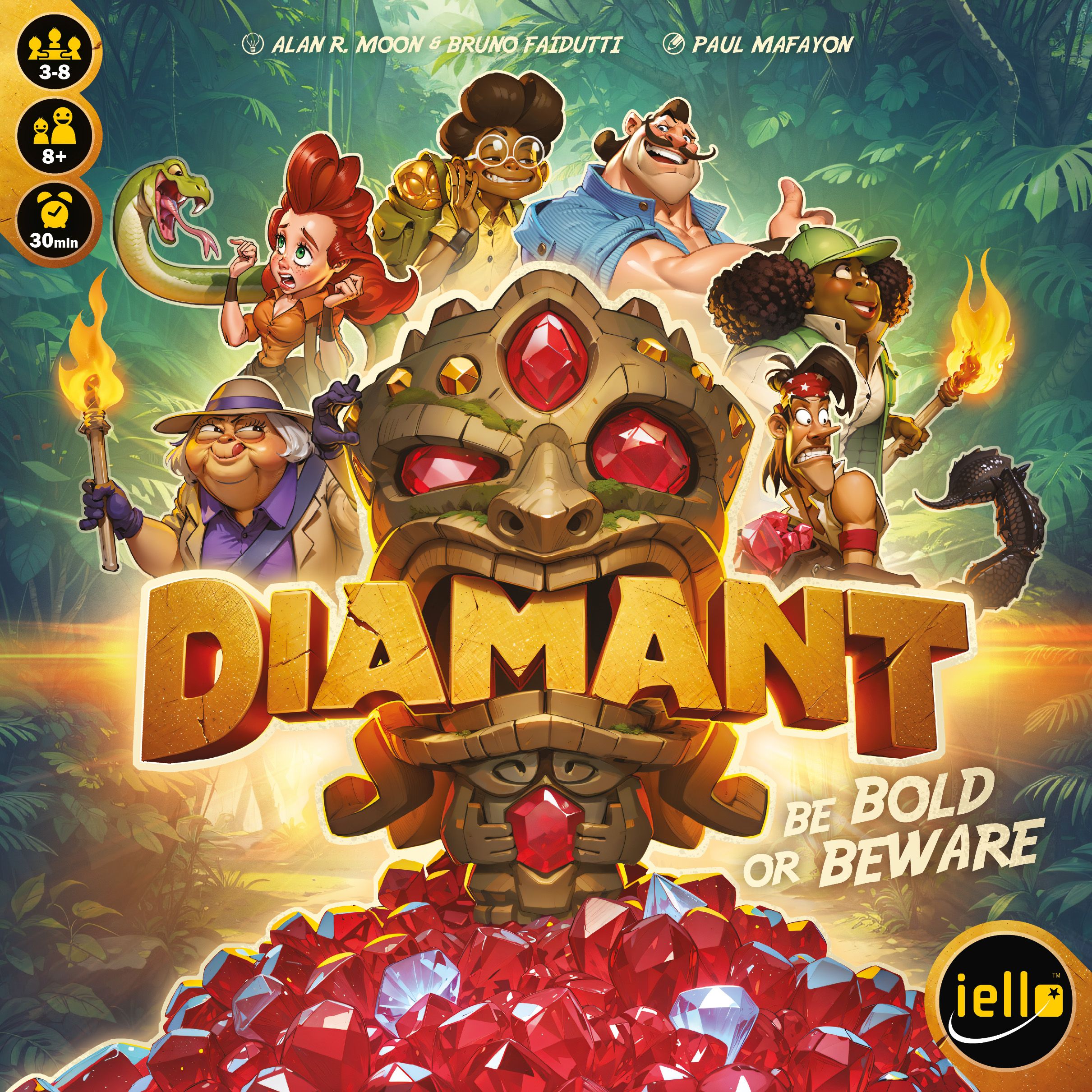 Jaquette de Diamant