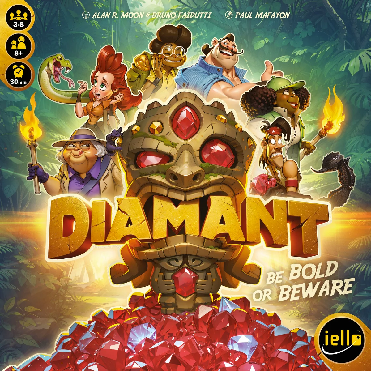 Jaquette de Diamant
