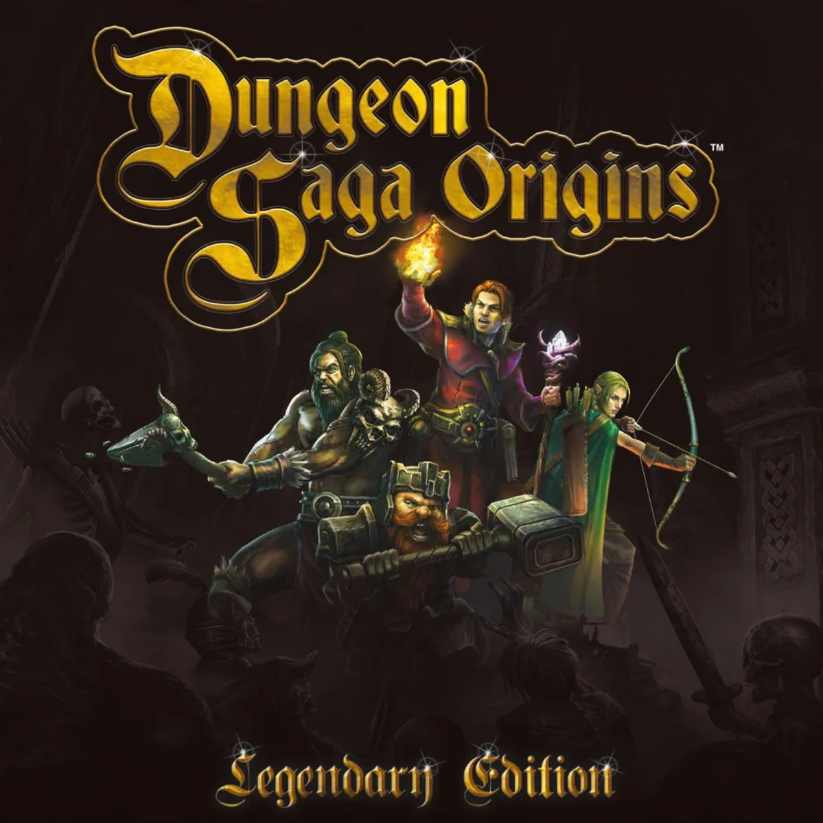 Jaquette de Dungeon Saga Origins