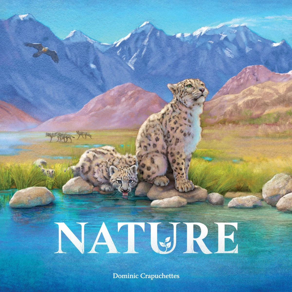 Jaquette de Nature