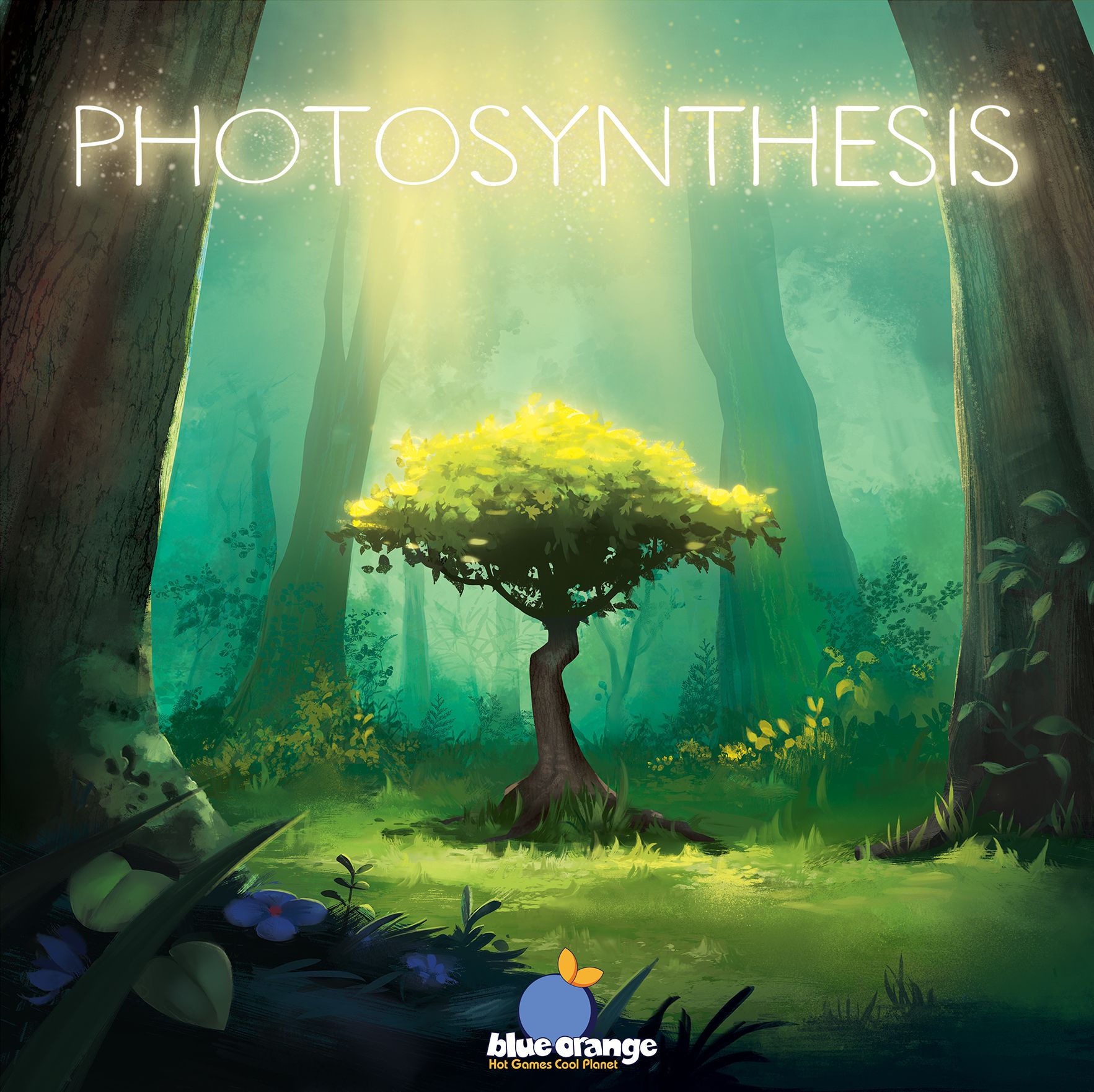 Jaquette de Photosynthesis